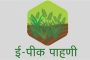 शेतकऱ्यांसाठी महत्त्वाची सूचना! ई-पीक पाहणी २४ जानेवारीपर्यंतच; उशीर करू नका