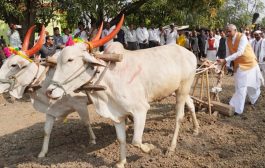 राज्यपाल थेट बळीराजाच्या शेतात! खोरीपाड्यात केली ज्वारीची पेरणी