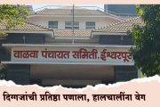 वाळवा तालुक्यात रणधुमाळी! दिग्गजांची प्रतिष्ठा पणाला, हालचालींना वेग