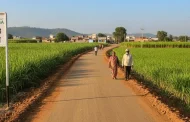 नरेगा अंतर्गत पाणंद रस्त्यांना मोठा दिलासा; 'मातोश्री ग्रामसमृद्धी'तील दहा कामांची मर्यादा हटणार!
