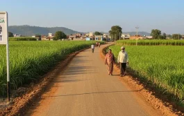 नरेगा अंतर्गत पाणंद रस्त्यांना मोठा दिलासा; 'मातोश्री ग्रामसमृद्धी'तील दहा कामांची मर्यादा हटणार!