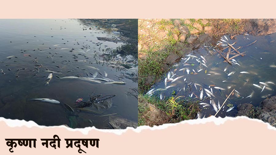 कृष्णा नदी प्रदूषण : संकट की विनाशाची घंटा?