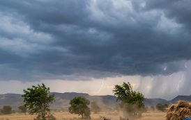 राज्यात मेघगर्जनेसह वादळी पावसाची शक्यता; शेतकऱ्यांनी पिके सुरक्षित ठेवण्याचे आवाहन