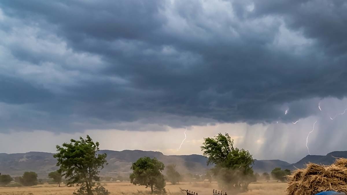 राज्यात मेघगर्जनेसह वादळी पावसाची शक्यता; शेतकऱ्यांनी पिके सुरक्षित ठेवण्याचे आवाहन