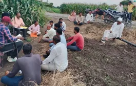 बांधावरच न्याय निवाड्याचा 'कोपरगाव पॅटर्न'; तहसीलदारांनी मिटवला १४ वर्षांचा रस्त्याचा वाद, ७५ क्लिष्ट प्रकरणे निकाली