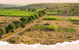 महसूल विभागाकडून मोठा दिलासा! 'या' लोकांच्या जमिनी 'वर्ग २' मधून 'वर्ग १' होणार