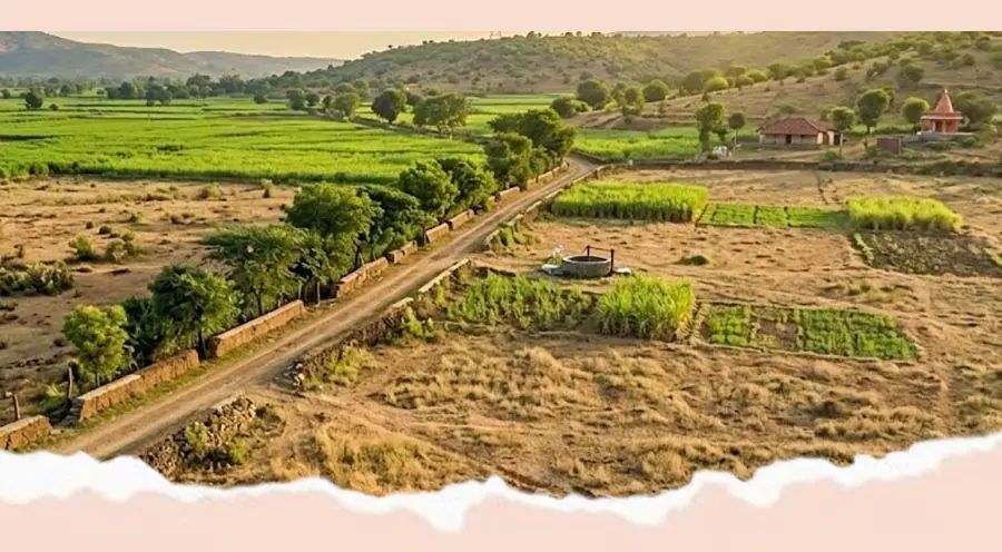 महसूल विभागाकडून मोठा दिलासा! 'या' लोकांच्या जमिनी 'वर्ग २' मधून 'वर्ग १' होणार