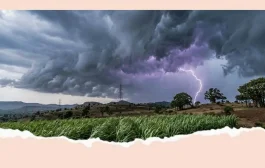 सावधान! राज्यात मेघगर्जनेसह वादळी पावसाची शक्यता; 'या' भागात गारपिटीसह वादळी वाऱ्यांचा इशारा