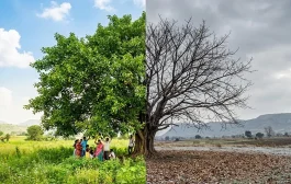 स्वार्थाची समीकरणं आणि काळाचा महिमा : एक सार्वत्रिक सत्य!