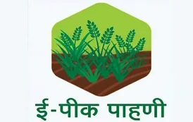 रब्बी हंगामातील सहायक स्तरावरील ई-पीक पाहणी नोंदणीस ३१ मार्चपर्यंत मुदतवाढ