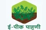 रब्बी हंगामातील सहायक स्तरावरील ई-पीक पाहणी नोंदणीस ३१ मार्चपर्यंत मुदतवाढ