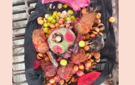 शेणे येथील स्मशानभूमीत जादूटोणा, करणीचा प्रकार