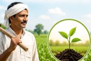 अल निनो संकट काय आहे? जाणून घ्या शेतीवर होणारा परिणाम आणि उपाय