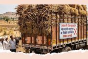 सांगली जिल्ह्याबाहेर चाऱ्याची वाहतूक, विक्री करण्यास मनाई