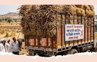 सांगली जिल्ह्याबाहेर चाऱ्याची वाहतूक, विक्री करण्यास मनाई