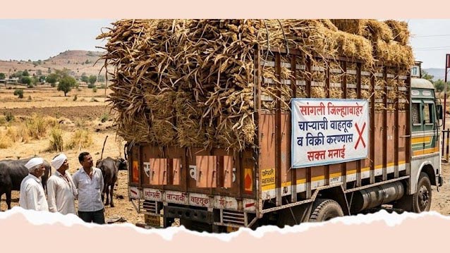 सांगली जिल्ह्याबाहेर चाऱ्याची वाहतूक, विक्री करण्यास मनाई