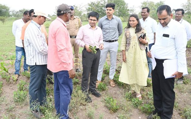 सांगलीतील दुष्काळी तालुक्यातील पिकांचे पंचनामे सुरू